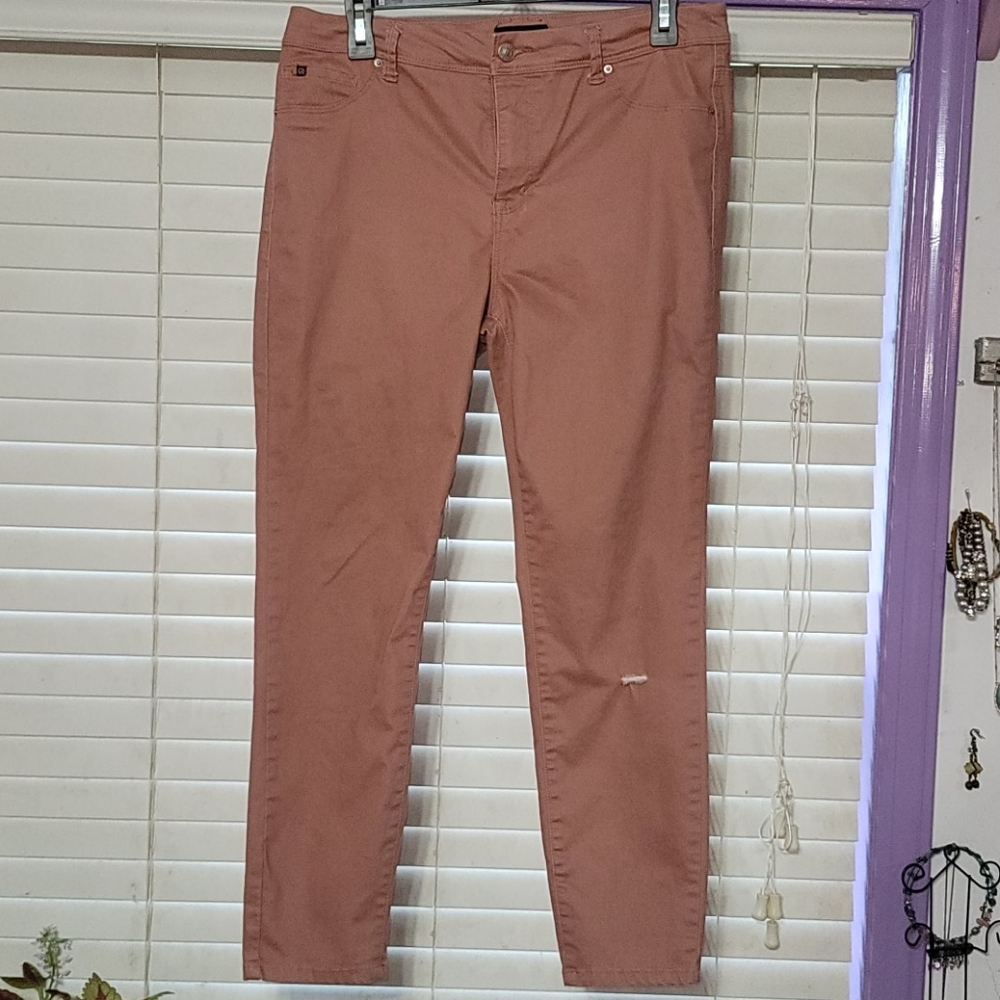 Curve Appeal rose colored skinny panta